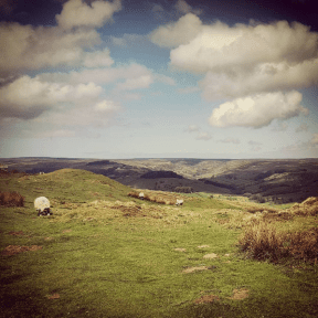 243ba-screen2bshot2b2016-05-262bat2b13-55-32