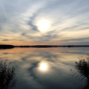 Norden - Nordic or Scandinavian?