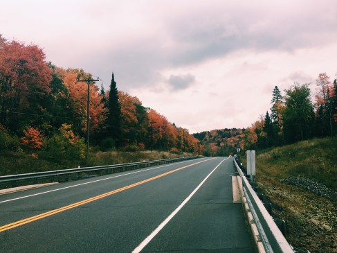 Processed with VSCO with c1 preset