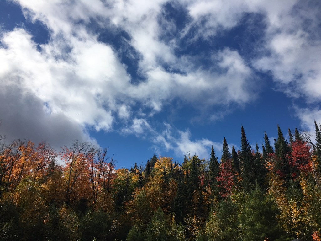 Trailing Tom Thomson – Oxtongue River & Algonquin&nbsp;Park﻿